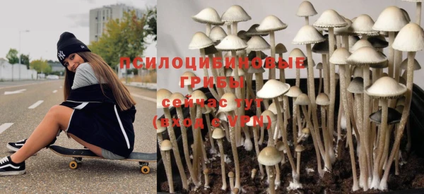 дмт Аркадак