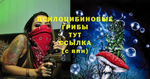 дмт Аркадак