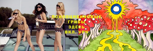 мдпв Арсеньев
