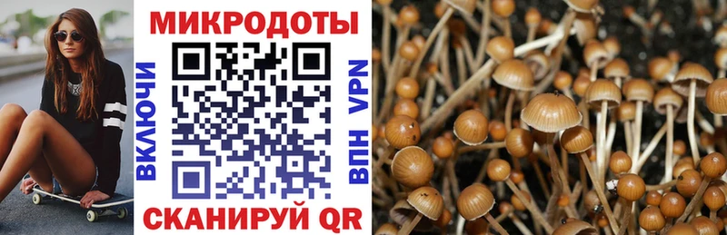 Псилоцибиновые грибы GOLDEN TEACHER  Калязин 